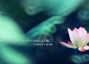 开云体育登录-活塞连续得分压制76人，恩比德却成关键先生，一场战术与意志的较量