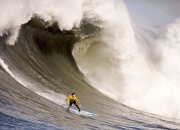 开云体育中国-莫兰特成为胜负手，公牛狂胜老鹰