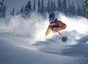 开云体育下载-赛道风云，威廉姆斯轻取哈斯，维斯塔潘状态火热再显王者风范