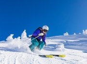 开云体育登录-范弗利特三分雨刷新纪录，老鹰关键战突围湖人锁定季后赛