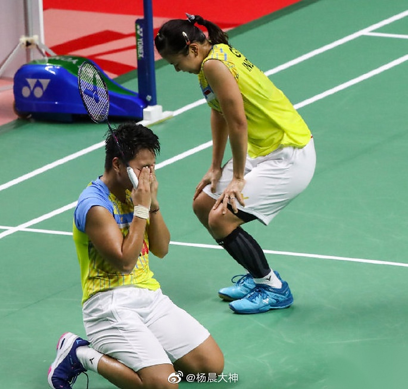 包含泰国羽毛球队血洗日本羽毛球队，马琳统治全场的词条