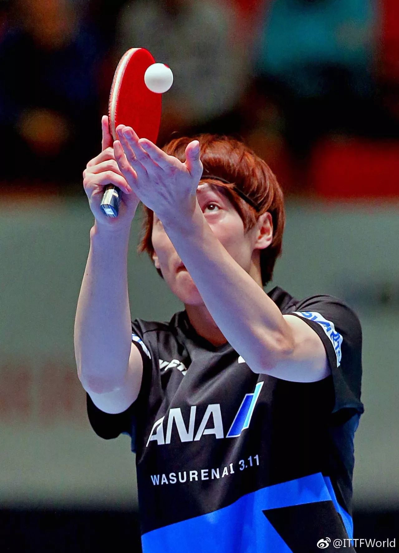 法国乒乓球队逆转奥地利乒乓球队，波尔制霸全场的简单介绍