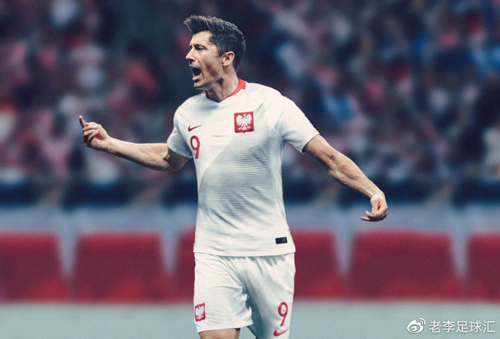 匈牙利主场击败波兰取得一场胜利