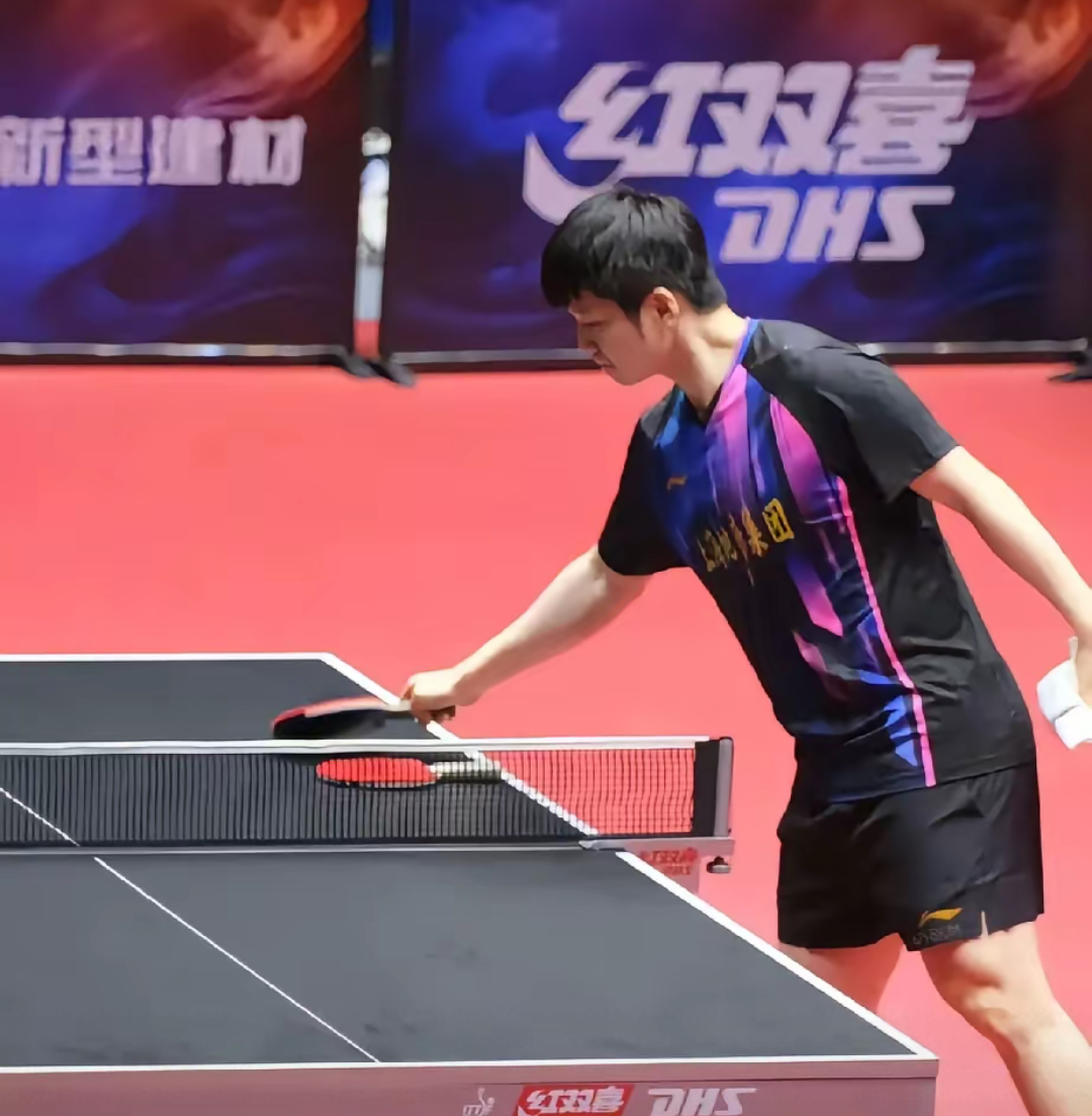 德国队横扫奥地利队，许昕高光表现的简单介绍