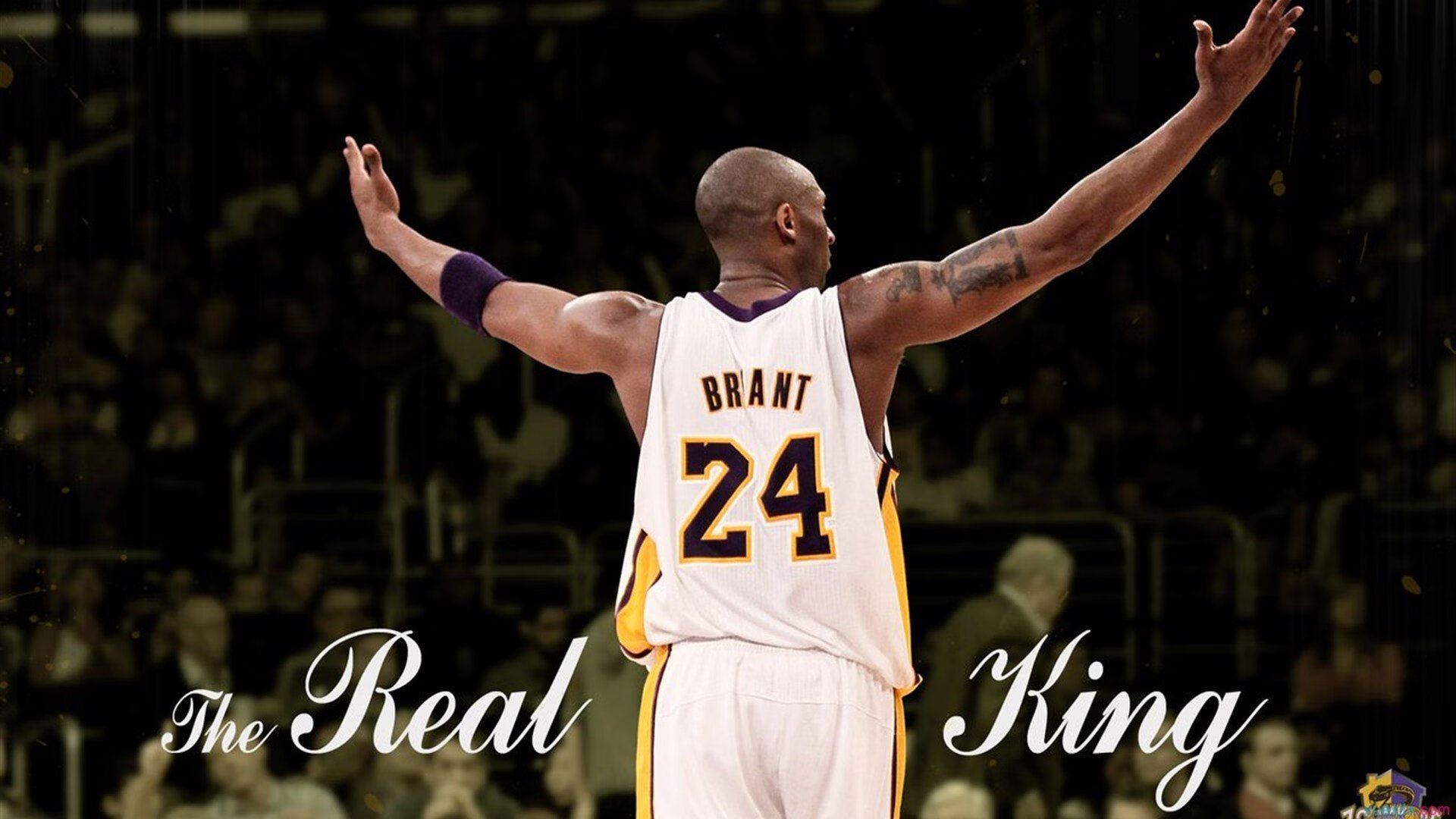 武切维奇爆发，广东队冲垮步行者，一场跨越篮球文化的战术对决